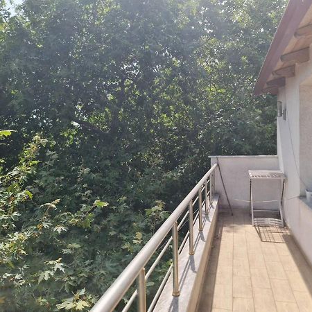 Penthahouse Shallvare Tirana Exteriör bild