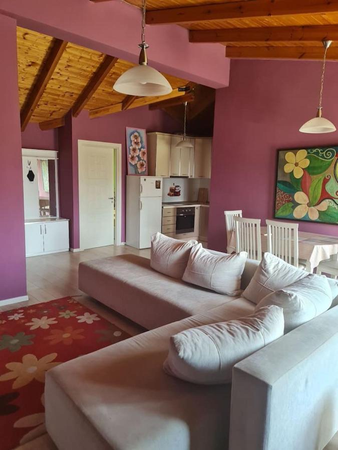 Penthahouse Shallvare Tirana Exteriör bild